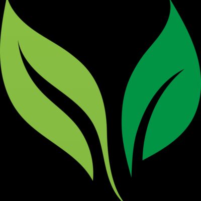 Leaves Thumbnail
